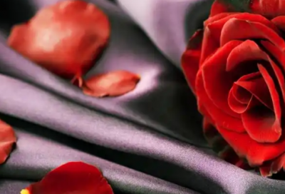 ​关于真诚互助的谚语67句