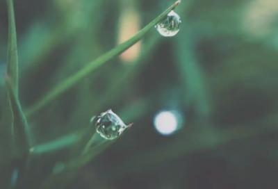 ​有关生活的谚语64句