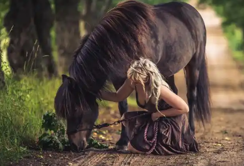 1768814939561431.png image.png