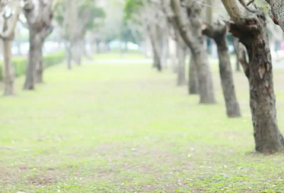 ​早会励志努力短句